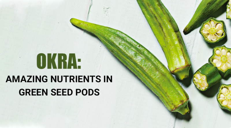 OKRA: AMAZING NUTRIENTS IN GREEN SEED PODS