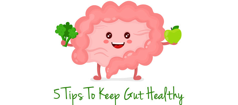 5 TIPS TO KEEP YOUR GUT HEALTHY