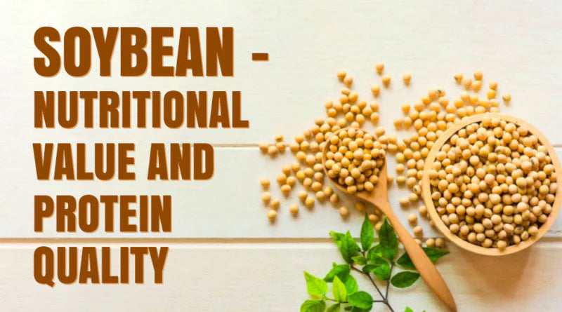 SOYBEAN – NUTRITIONAL VALUE AND PROTEIN QUALITY