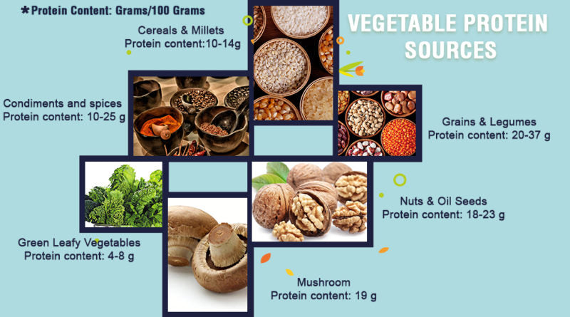 VEGETABLE PROTEIN SOURCES