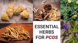 ESSENTIAL HERBS FOR PCOS