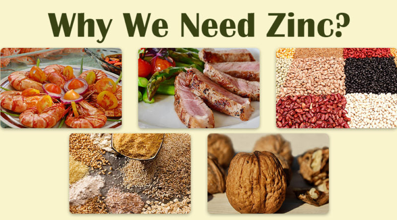 WHY WE NEED ZINC?