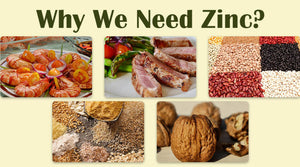 WHY WE NEED ZINC?