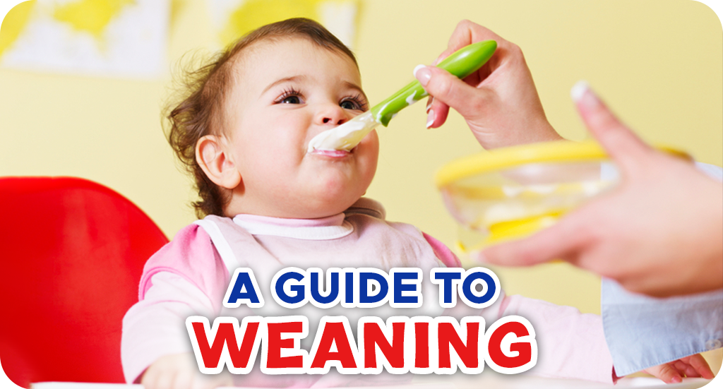 A GUIDE TO WEANING: WHY YOU SHOULD FEED YOUR BABY SOLIDS AFTER SIX MON ...