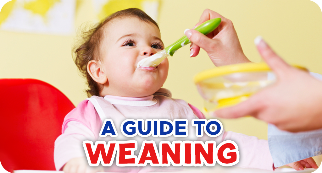 A GUIDE TO WEANING: WHY YOU SHOULD FEED YOUR BABY SOLIDS AFTER SIX MONTHS