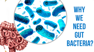 WHY WE NEED GUT BACTERIA?