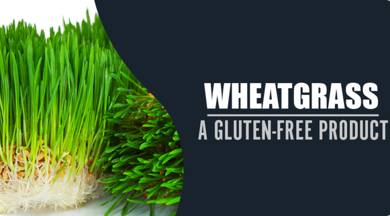 WHEATGRASS – A GLUTEN-FREE PRODUCT