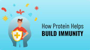 HOW PROTEIN HELPS BUILD IMMUNITY