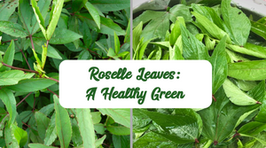 ROSELLE LEAVES OR GONGURA: AMAZING BENEFITS