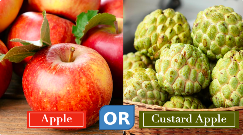 APPLE OR CUSTARD APPLE