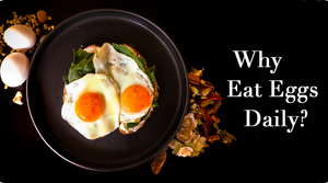 WHY EAT EGGS DAILY?