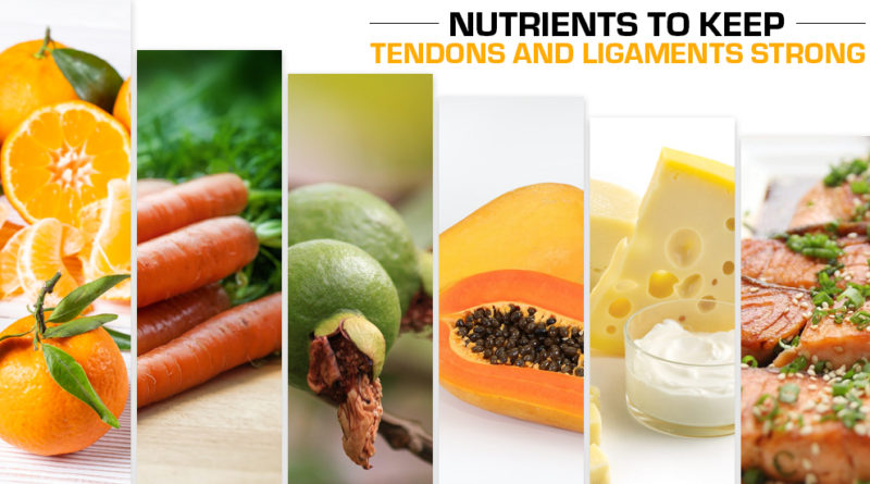 NUTRIENTS TO KEEP TENDONS AND LIGAMENTS STRONG