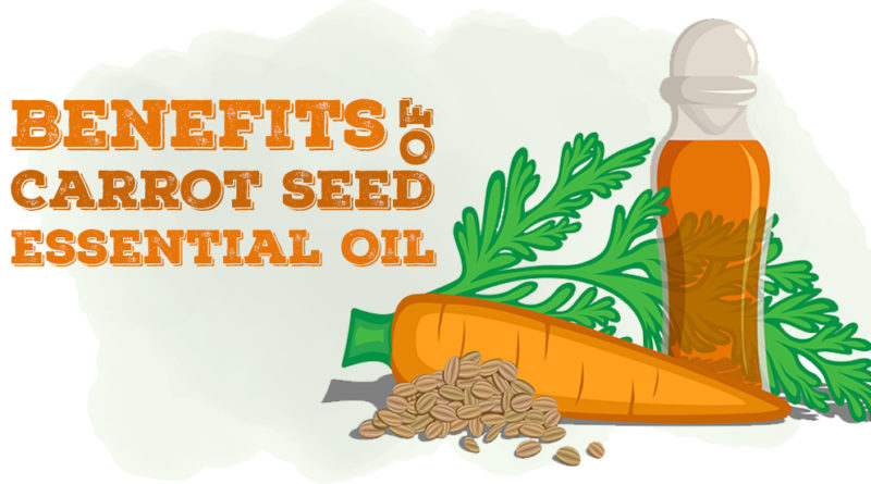 BENEFITS OF CARROT SEED ESSENTIAL OIL