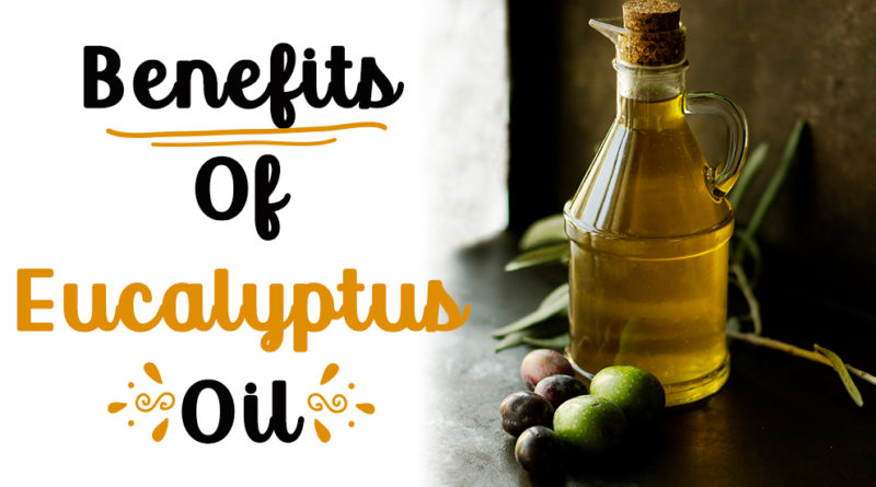 BENEFITS OF EUCALYPTUS OIL