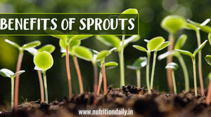 SPROUTING FOR A HEALTHY GUT AND MANY MORE!