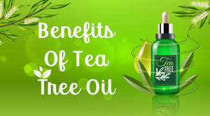 BENEFITS OF TEA TREE OIL