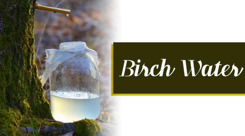 BIRCH WATER AND ITS HEALTH BENEFITS