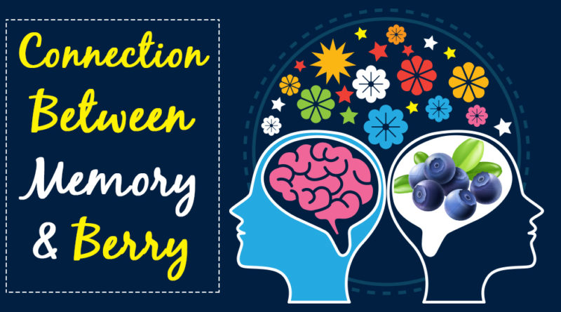 CONNECTION BETWEEN MEMORY AND BERRY