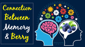 CONNECTION BETWEEN MEMORY AND BERRY