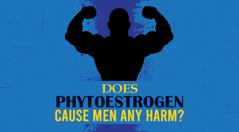 DOES PHYTOESTROGEN CAUSE MEN ANY HARM?