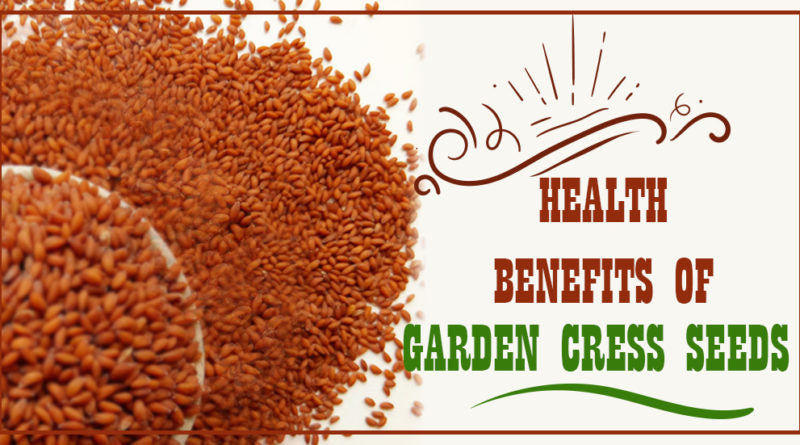 HEALTH BENEFITS OF GARDEN CRESS SEEDS