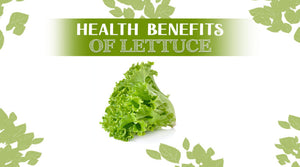 HEALTH BENEFITS OF LETTUCEw