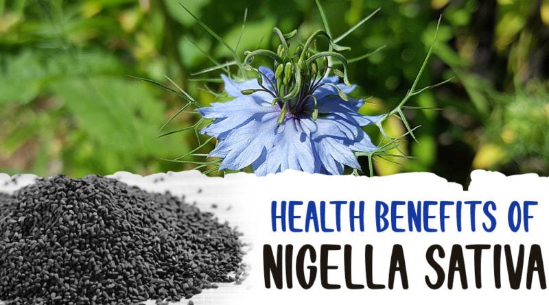 HEALTH BENEFITS OF NIGELLA SATIVA