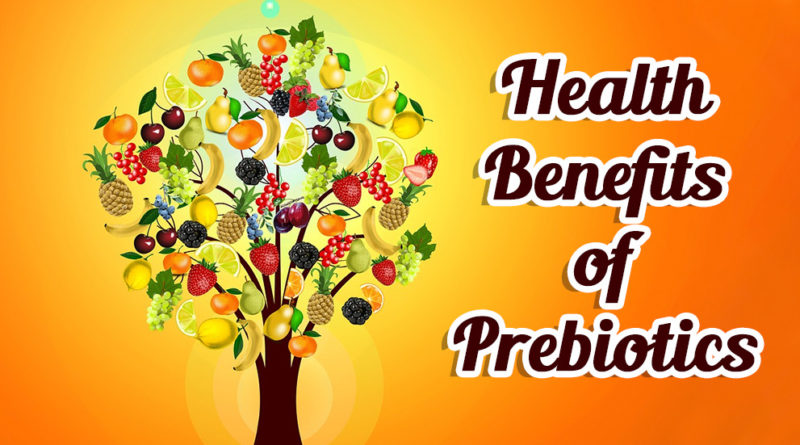 HEALTH BENEFITS OF PREBIOTICS