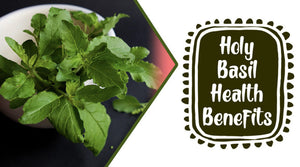 HOLY BASIL:-HEALTH BENEFITS