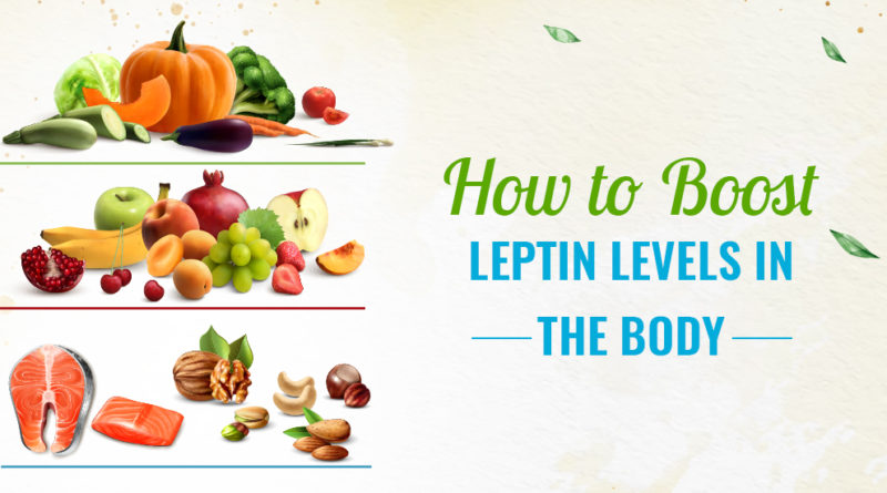 HOW TO BOOST LEPTIN LEVELS IN THE BODY