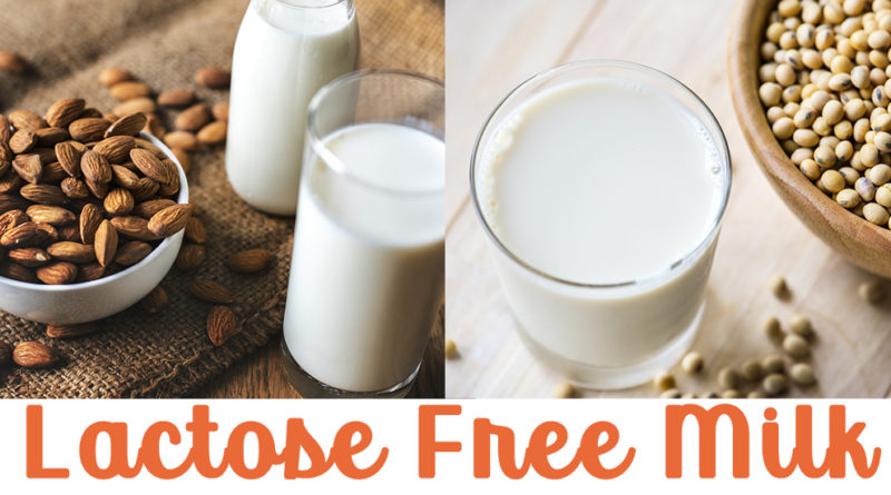 LACTOSE INTOLERANCE AND ALTERNATIVE FOODS