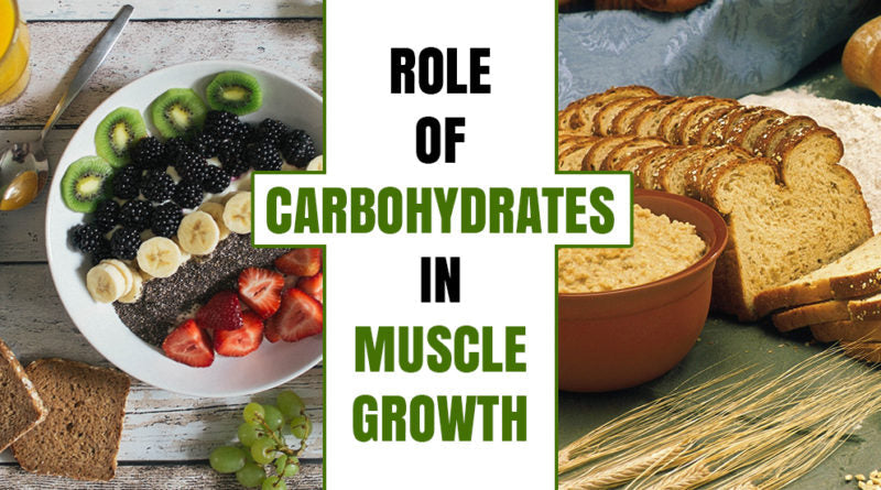 ROLE OF CARBOHYDRATES IN MUSCLE GROWTH