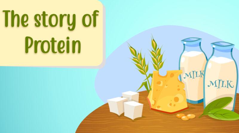 THE STORY OF PROTEIN