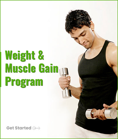 Weight &amp; Muscle Gain Program 