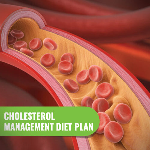 Cholesterol Management diet plan